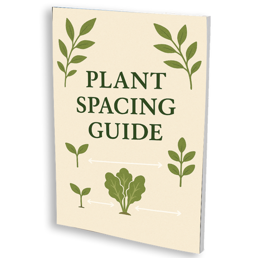 Plant Spacing Guide