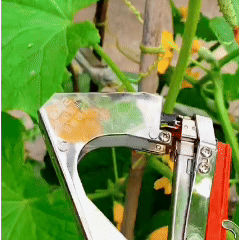 Plant Clipper